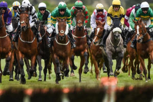 2026 Cheltenham festival