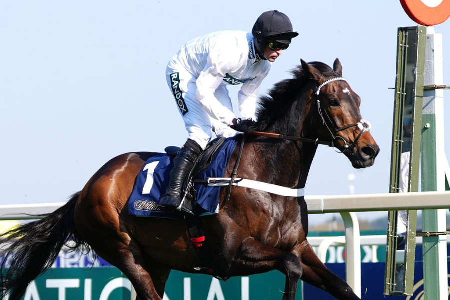 Constitution Hill Nicky Henderson