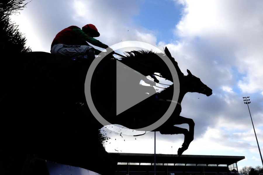 Fatally Injured at Kempton Park