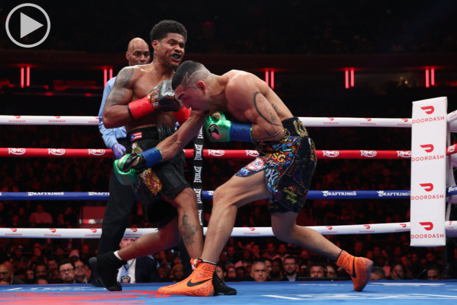 Shakur Stevenson vs Teofimo Lopez